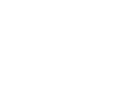 Nashi logo